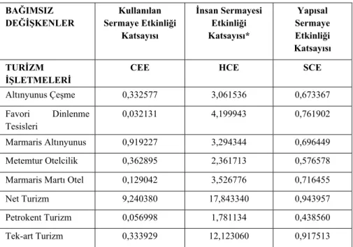 Tablo 2. Bağımsız Değişkenler 