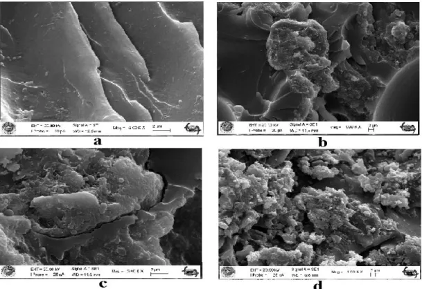 Şekil 4.3. NPEL reçinesi ile hazırlanan kompozitlerin SEM görüntüsü:  