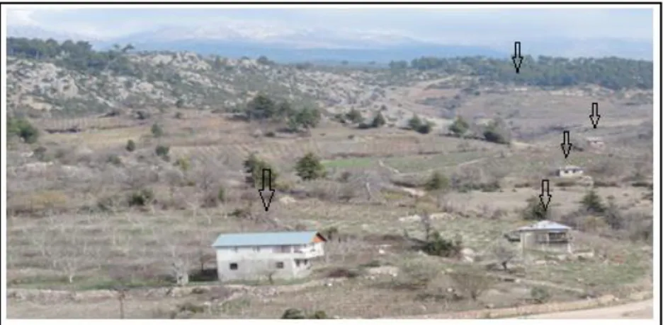 Foto 4: Cehennemdere yolunda bulunan bağ evleri 