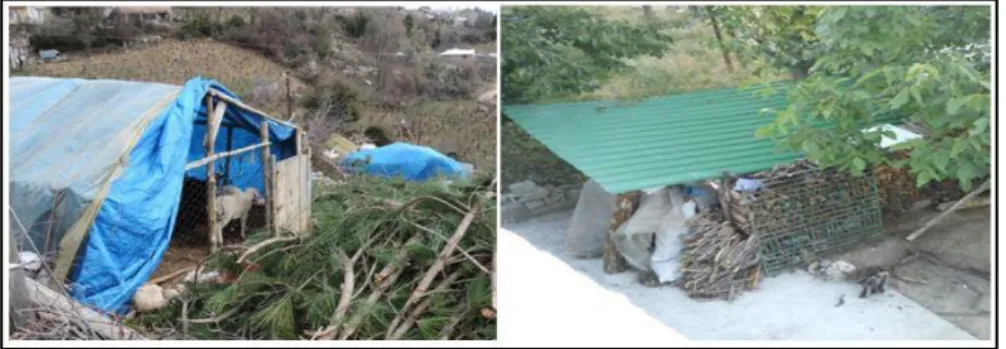 Foto 9: Bağ evi eklentileri 