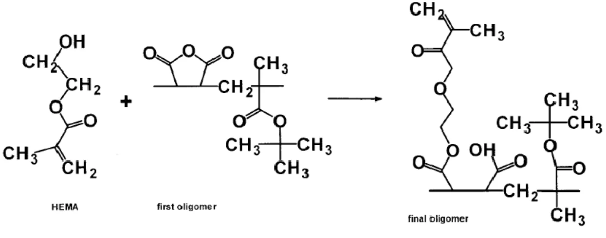 Şekil 2.35. HEMA Modifiye ter-Butilmetakrilat-ko-Maleik Anhidrit Polimeri Modifikasyon  Reaksiyonu 