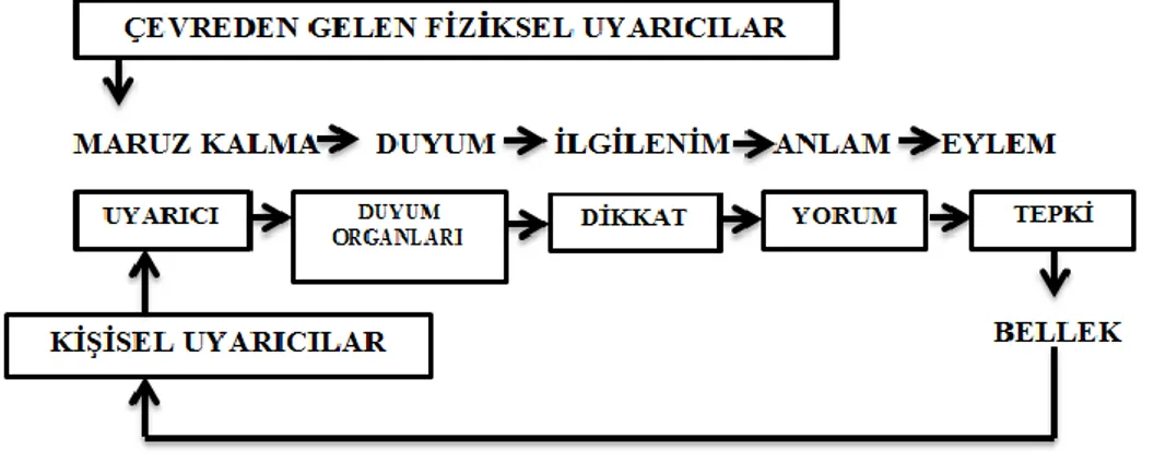 ġekil 1. Algılama Süreci (OdabaĢı, 2002) 