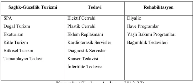 Tablo 1: Sağlık Turizmi Türleri 