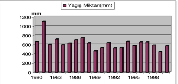 Grafik 5: Hadim’de Yıllara Göre Düşen Toplam Yağış Miktarının Dağılımı (1980–2000).