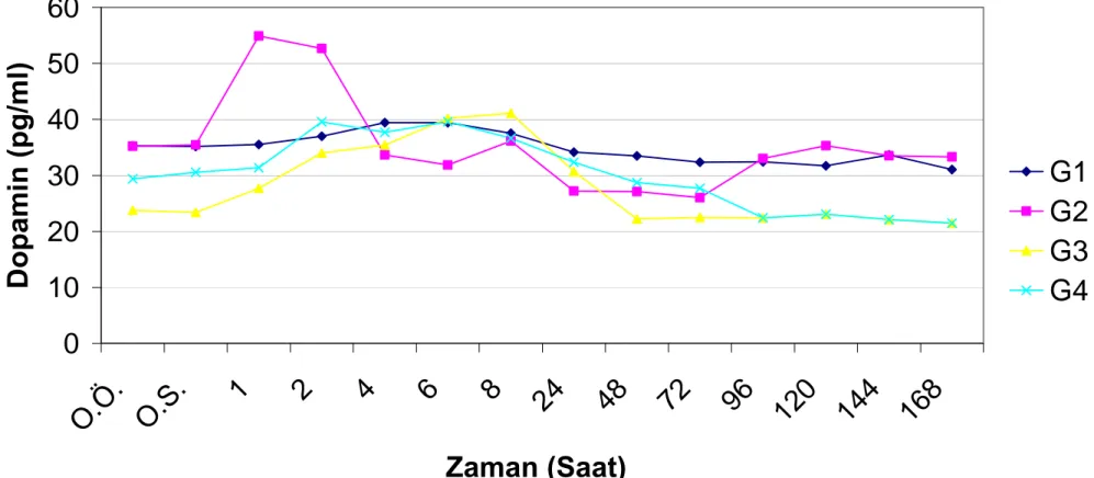 Grafik 4.3. Grup içi plazma dopamin seviyelerinin saatlere göre değişimleri.  0102030405060 O