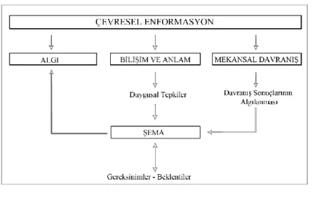 ġekil 1. 3: Ġnsan davranıĢının temel süreçleri