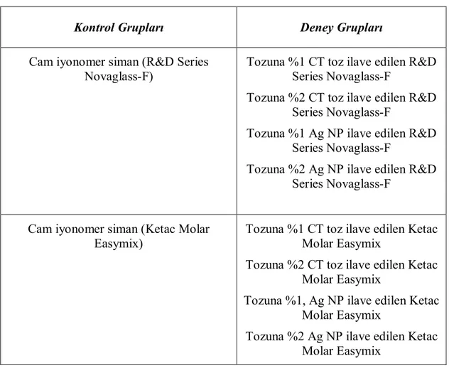 Çizelge 2.3. Kontrol grubu ve deney grupları 