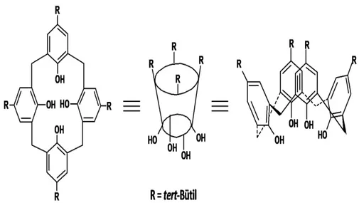 Şekil 1.4. p-tert -Bütilkaliks[4]arenin farklı gösterimleri 