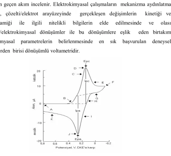 Şekil 1.9 Dönüşümlü voltamogram örneği (Skoog 1998) 