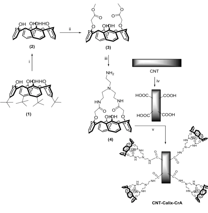 Şekil 4.1  CNT-Calix-CrA Bileşiğinin Reaksiyon Koşulları 