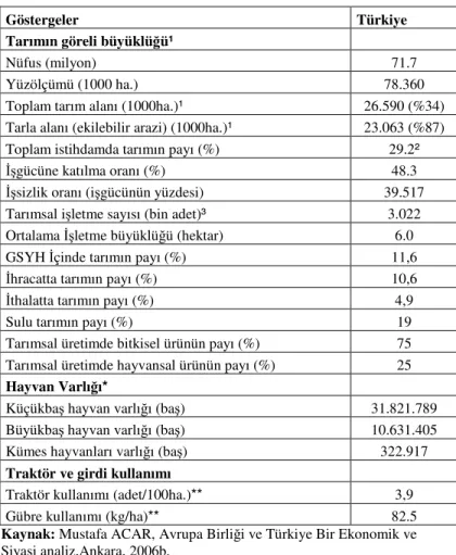 Tablo 1.2. :  Başlıca Tarımsal Göstergeler Açısından Türkiye  (2004)