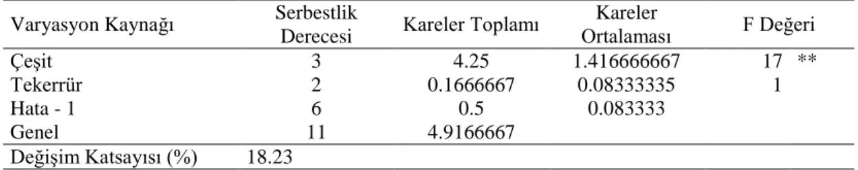 Çizelge  4.2.  Dallı  darı  çeşitlerinde  farklı  biçim  zamanı  uygulamaları  sonucu  tespit  edilen  yatma  derecesine ilişkin varyans analizi sonuçları 