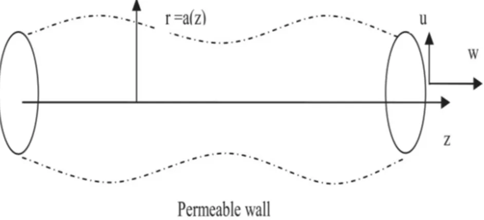 Figure 1. Geometry of the problem