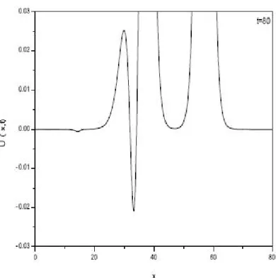 Figure 5. An expanded vertical scale of Fig.4(f) at t=80.