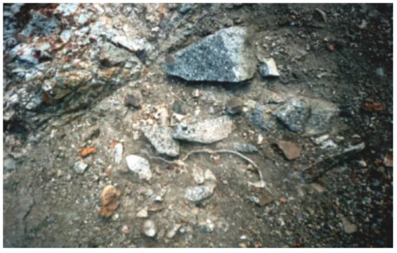 Figure 2. Vein type mineralizations along the fractures and joints in the wall rocks.