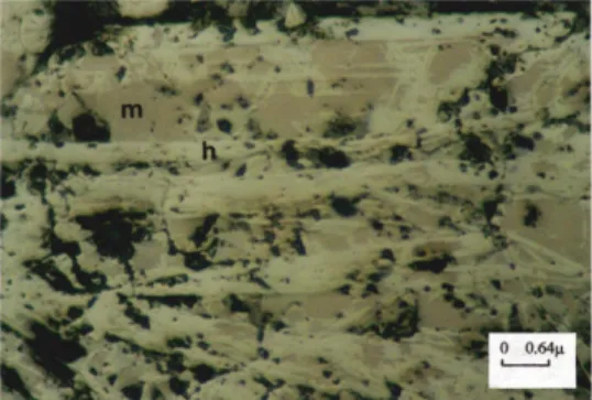 Figure 8. Pyrite in the thin veins type magnetite fraction. Dark grey to black sections are gang.
