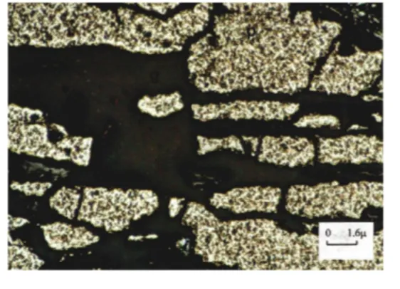 Figure 11. Transformation of medium grained magnetites into platty and muscetoffitte