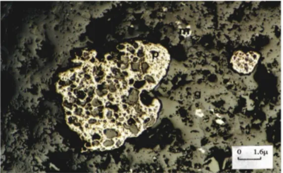 Figure 14. Coarse grained and euhedral pyrite in gangue and magnetite along fissares in host