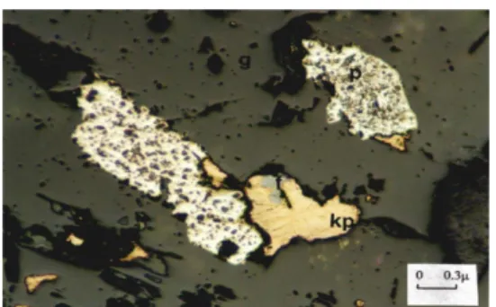 Figure 17. Pyrite and calcopyrite in gang.