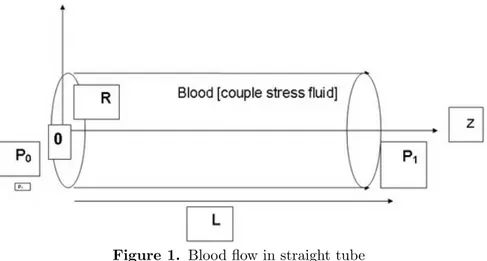 Figure 1. Blood flow in straight tube