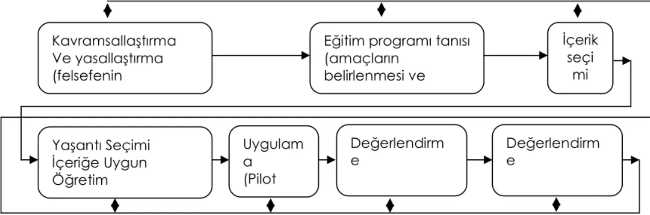 Şekil 3.  Program Geliştirmede Saylor, Alexander &amp; Lewis Modeli   (Ornstein ve Hunkins 1988, s.196)