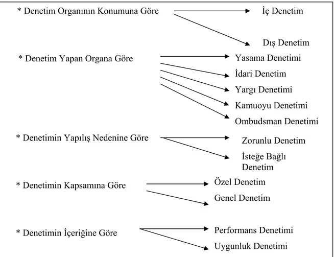 Şekil 1: Denetim Yolları 