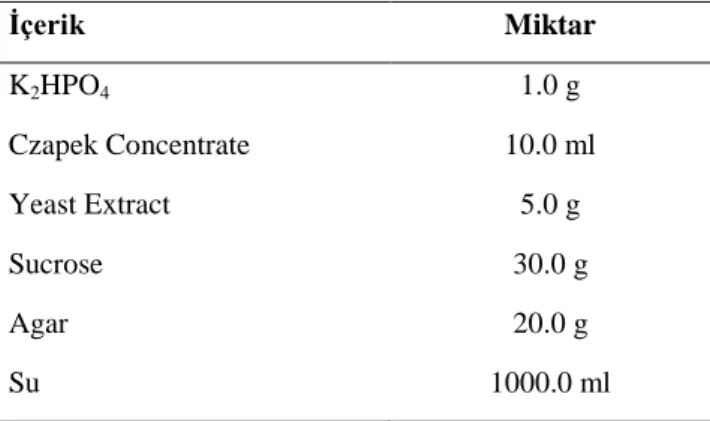 Çizelge 3.6. Czapek Yeast Extract’ın kimyasal içeriği  İçerik  Miktar  K 2 HPO 4                          1.0 g  Czapek Concentrate  10.0 ml  Yeast Extract  5.0 g  Sucrose  30.0 g  Agar  20.0 g  Su  1000.0 ml 