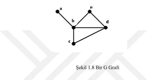 Şekil 1.8 Bir G Grafı 