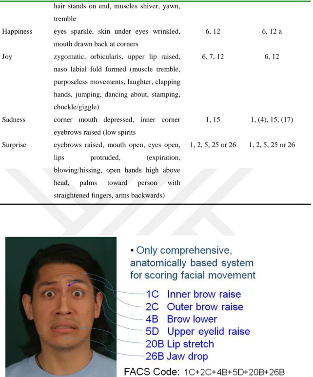 Figure 3. 2 Sample of FACS coding of a Fear Expression  (Oliver, 2018)