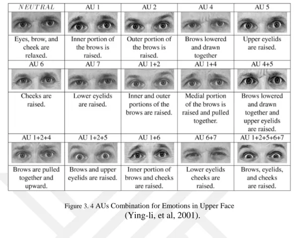Figure 3. 4  AUs Combination for Emotions in Upper Face 