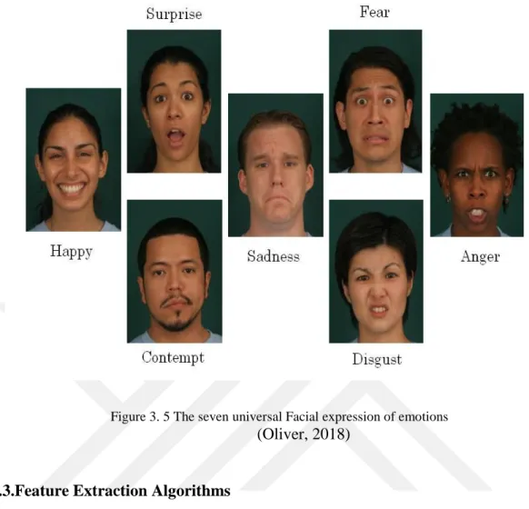 Figure 3. 5 The seven universal Facial expression of emotions 