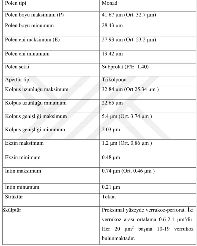 Tablo 4.1 Cousinia macroptera taksonuna ait palinolojik özlellikler. 