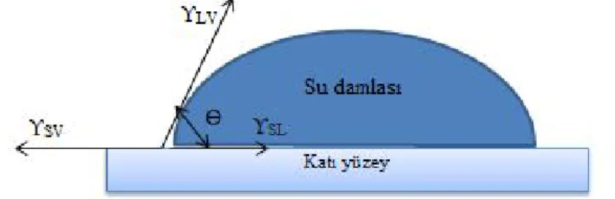 Şekil 1.17. Sıvı damlasının düzgün katı bir yüzeyde yüzey gerilimi bileşenleri 