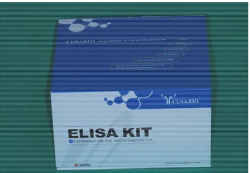 Şekil 2.5. Ölçümler için kullanılan ELISA kit  Reaktiflerin hazırlanması: 