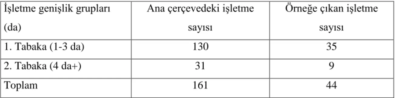 Çizelge 3.1. Sırık Domates Ekim Alanlarına Göre ĠĢletme Büyüklükleri Grupları ve  Örnek ĠĢletmelerin Sayıları (adet) 