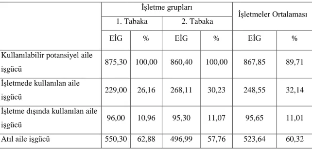 Çizelge 4.4. Ġncelenen ĠĢletmelerde Aile iĢgücü Potansiyeli ve Atıl Aile ĠĢgücü (EĠG)  ĠĢletme grupları 