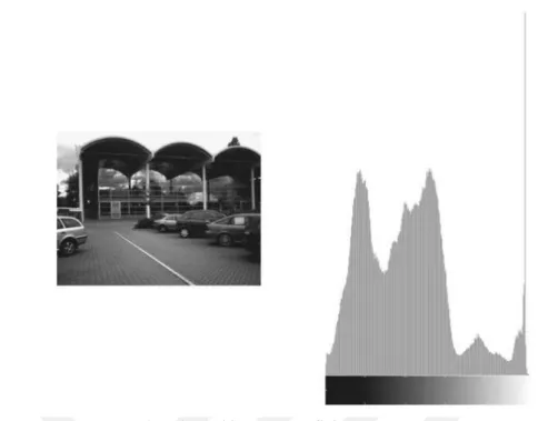 Şekil 2.4 Resim ve histogram grafiği (Solomon, 2011) 