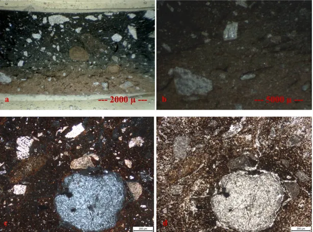 Şekil  4.  2  numaralı  örneğe  ait;  a)  Stereo  mikroskop  genel  doku,  b)  Stereo  mikroskop  detayı,  c)  polarizan mikroskop görüntüsü (çift nikol), d) polarizan mikroskop görüntüsü (tek nikol)