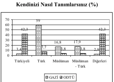 Tablo 19.  Kendilerini Tanımlamaları (%) 