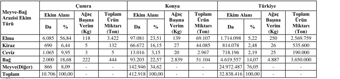 Tablo 4.8.Çumra işlenen meyve-bağ arazisi durum tablosu 