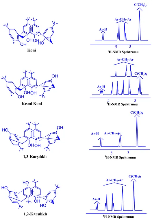 Şekil 1.7. p-t-bütilkaliks[4]aren’in konformasyonları ve  1 H NMR spektrumları 