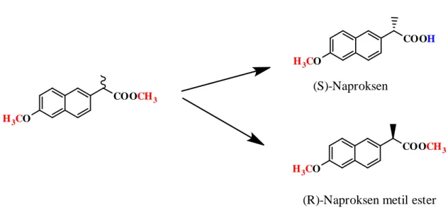 Şekil 2.4. Naproksen metil ester 