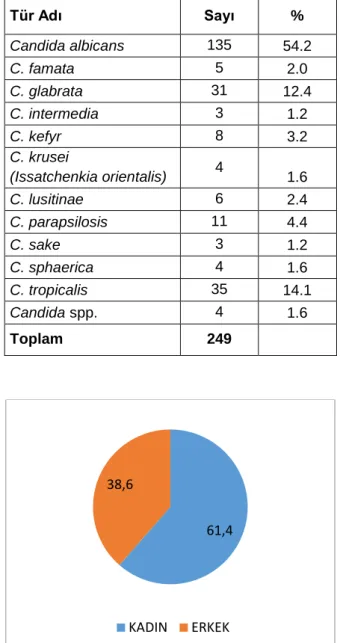 Tablo 1.  Kandida türlerinin dağılımı 