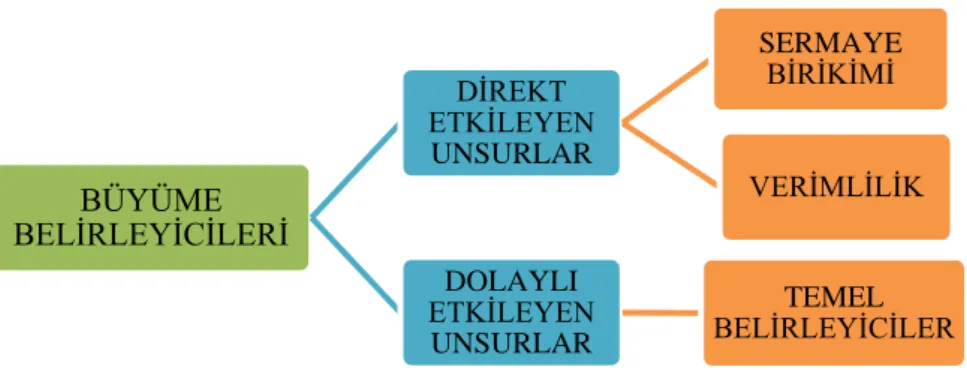 Şekil 1: Büyüme Belirleyicileri 