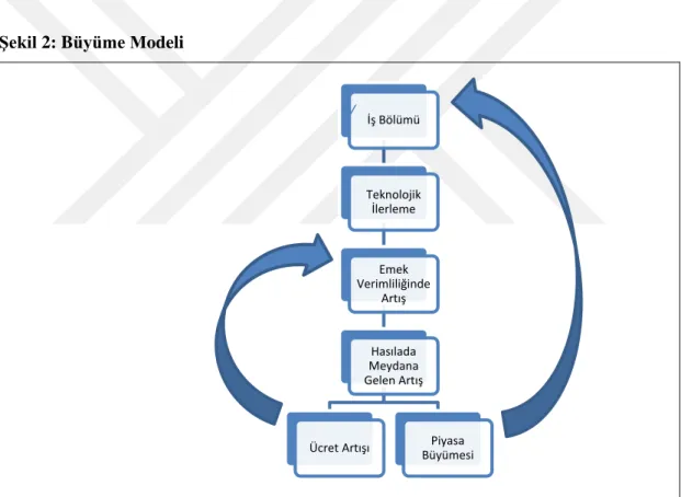 Şekil 2: Büyüme Modeli 