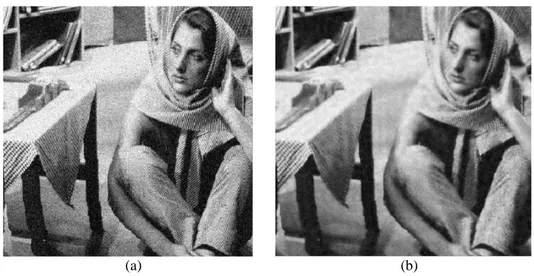 Fig. 4.5 (a) Noisy Barbara image with mid-level Gaussian noise; variance = 0.01 &amp; mean = 0, (b) The  corresponding reconstructed Barbara image using circular wavelet de-noising scheme;  Correlation = 