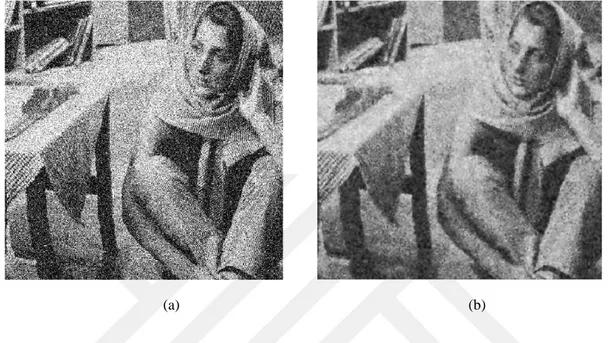 Fig. 4.6 (a) Noisy Barbara image with high-level Gaussian noise; variance = 0.1 &amp; mean = 0, (b) The  corresponding reconstructed Barbara image using circular wavelet de-noising scheme; Correlation = 