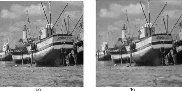 Fig. 4.10 (a) Noisy Boat image with low-level Gaussian noise; variance = 0.001 &amp; mean = 0, (b) The  corresponding reconstructed Boat image using circular wavelet de-noising scheme; Correlation = 0.9822 