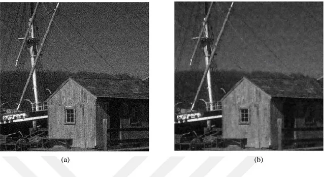 Fig. 4.13 (a) Noisy House image with low-level Gaussian noise; variance = 0.001 &amp; mean = 0, (b) The  corresponding reconstructed House image using circular wavelet de-noising scheme; Correlation = 