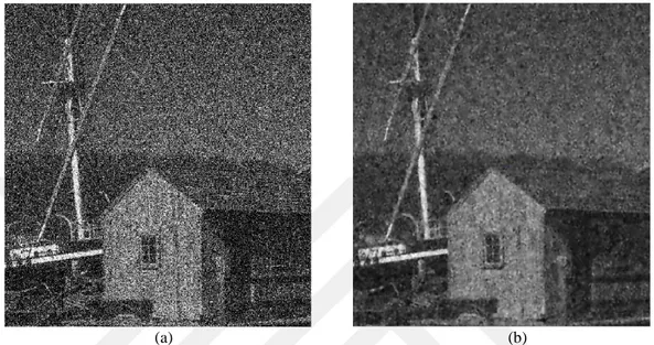 Fig. 4.15 (a) Noisy House image with high-level Gaussian noise; variance = 0.1 &amp; mean = 0, (b) The  corresponding reconstructed House image using circular wavelet de-noising scheme; Correlation = 